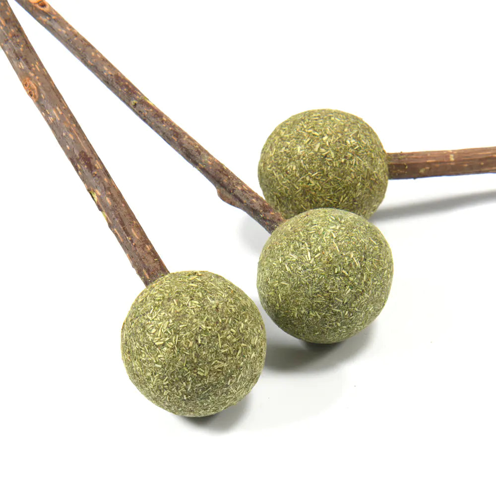 Friandise naturelle à l’herbe à chat – Lollipop Cataura™